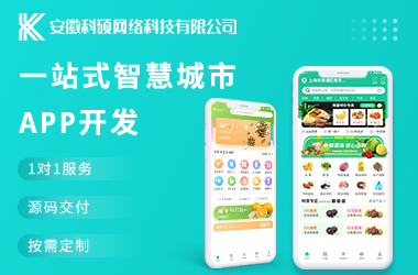 一站式智慧城市APP开发